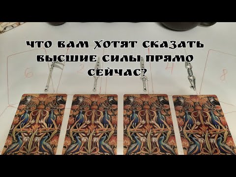Видео: ЧТО ВАМ ХОТЯТ СКАЗАТЬ ВЫСШИЕ СИЛЫ ПРЯМО СЕЙЧАС?