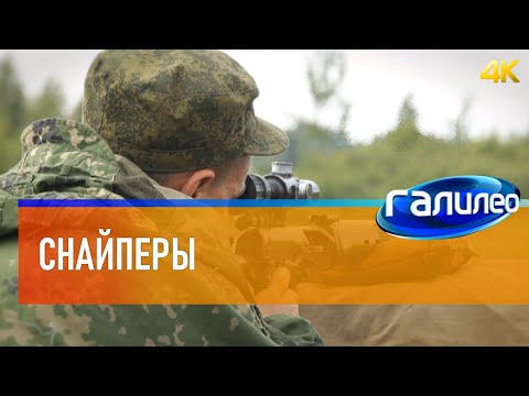 Видео: Галилео 🔫 Снайперы [4K]