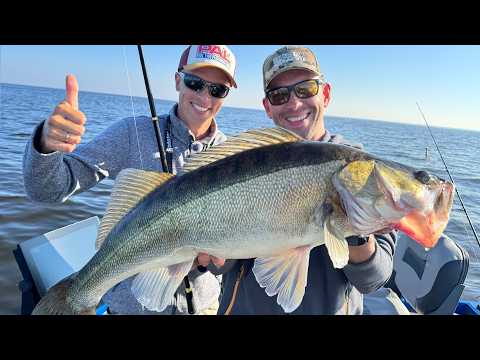 Видео: Нервы на ПЕРДЕЛЕ! ТРОФЕЙНЫЙ СУДАК с Александром Волынкиным!