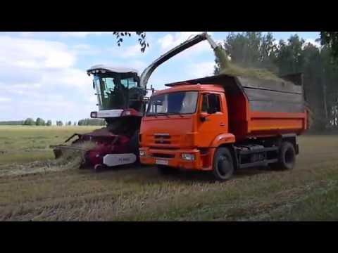 Видео: Доны на заготовке сенажа