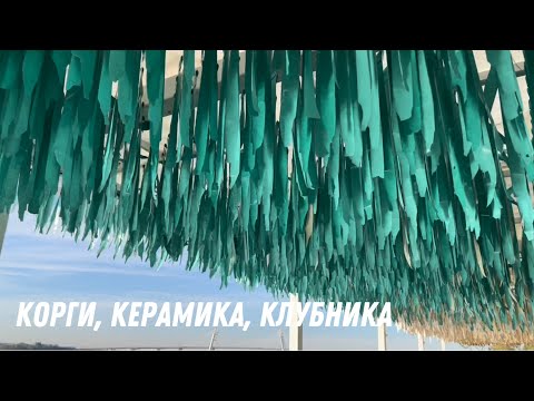 Видео: В Октябре: ферма клубники в СПб, корги, керамика, Морской вокзал