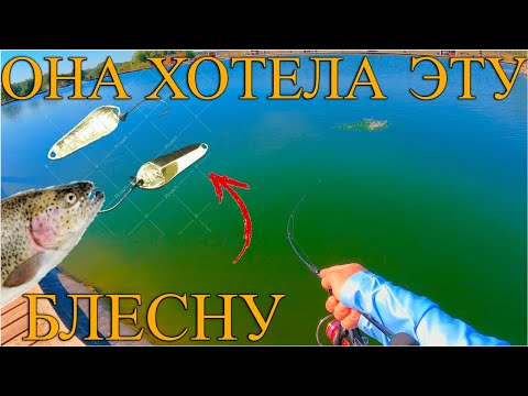 Видео: Ловля пассивной форели в рыболовном клубе Язь