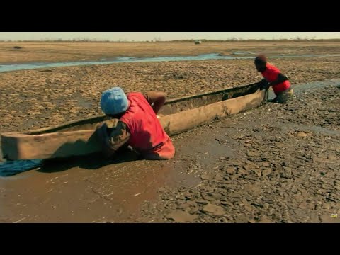Видео: Экстремальные работники | Худшие работы в мире
