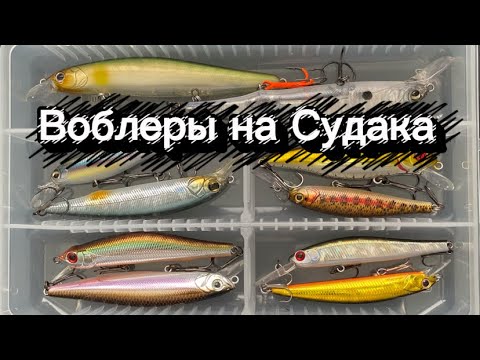 Видео: Воблеры на ночного судака. Мнение.