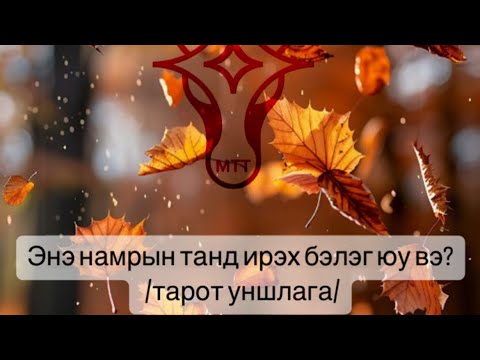 Видео: Энэ намрын танд ирэх бэлэг, анхаарах зүйл, хийх дом, зөвлөгөө /9,10,11 сарын тарот зурхай/