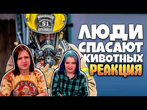 Видео: Человечность восстановлена #1 [RUS VO] | РЕАКЦИЯ НА @shtiglishti |