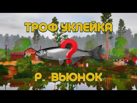 Видео: Вьюнок - точка на Уклейку и Лягушку (трофейные места)