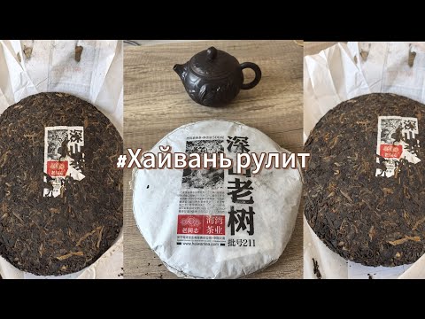 Видео: Хайвань рулит(шу пуэр)