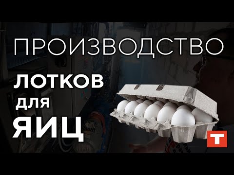 Видео: Как производят лотки для яиц и, причём здесь термомасляный котёл?