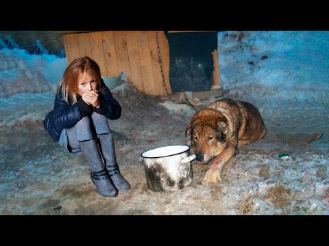 Видео: Родители вышвырнули дочь в собачью конуру ко псу, но животное стало её спасением