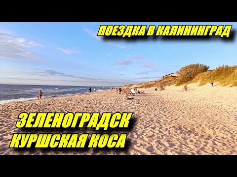 Видео: Зеленоградск глазами туриста. Куршская Коса