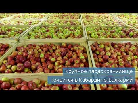 Видео: Изменения и инновации в холодильной индустрии: новости недели