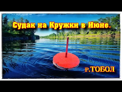 Видео: Судак на Кружки . Открытие лодочного сезона на реке Тобол.