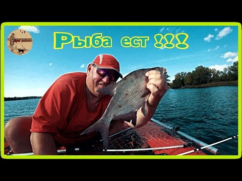 Видео: Думай как рыба.Рыбалка на донки с лодки..Сamping ,fishing,bushcraft.