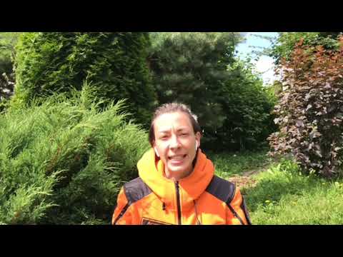 Видео: Эффективное применение кинологических расчетов при проведении ПСР