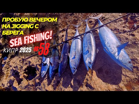Видео: Рыбалка на Кипре.Пробую вечером на jigging с берега.Часть - 58.Сезон 2025