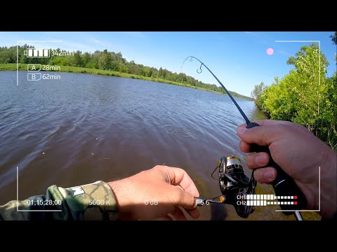 Видео: Рыбалка с первой бровки канала имени Москвы на спиннинг