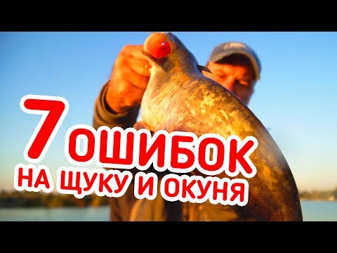 Видео: РЫБАЛКА БЕЗ ОШИБОК! 7 ОШИБОК ПРИ ЛОВЛЕ ЩУКИ, СУДАКА И ОКУНЯ!