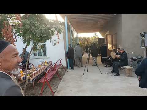 Видео: 31 октября 2025 г.