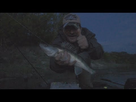 Видео: НОЧНОЙ СУДАК. Когда над Доном встаёт луна...