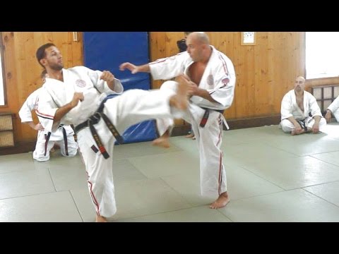 Видео: Подсечка. часть2 - подготовка, связки, наработка в кумитэ