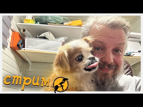 Видео: Вечерний стрим, отвечаем на ваши вопросы, делимся новостями 19.04.2024