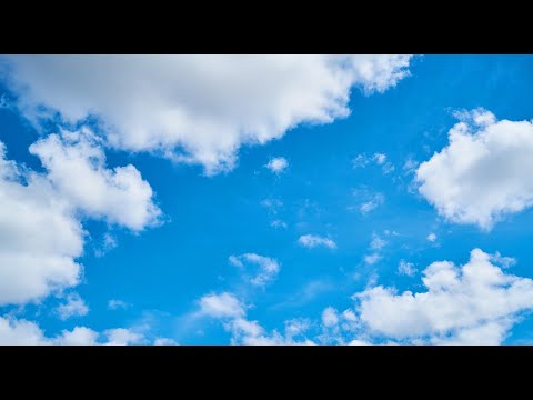 Видео: Херувимская (Г. Н. Лапаев) - исполняет Светлана Тарасова