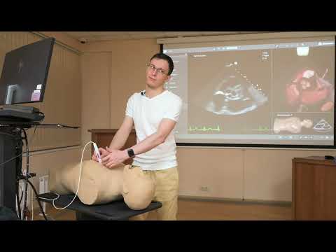 Видео: Эхокардиография. Занятие 3. Парастернальная позиция: PSAX