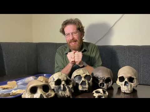 Видео: Дневник Хотылёво 2025. Серия 1. Александр Очередной. Зачем археологи копают в Хотылёво?