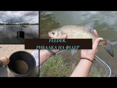 Видео: Ловля ляща на Фідер.Спіймав відпусти