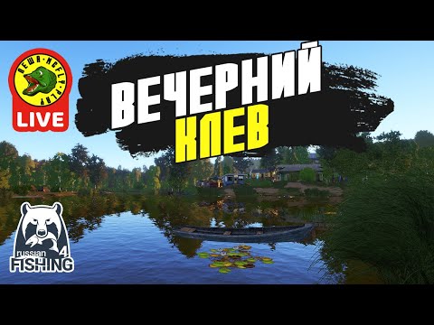 Видео: Вечерний Клев (Стрим - Русская рыбалка 4)