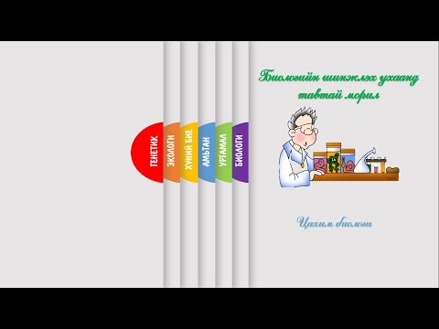 Видео: Power point дээр слайд бэлтгэх шинэ загвар