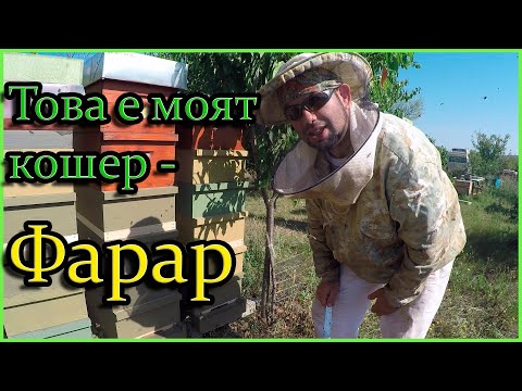 Видео: Това е моят кошер - Фарар