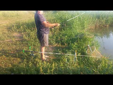 Видео: рыбалка на платниках озеро 25 крючок