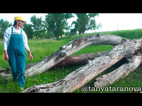 Видео: Что произойдет, если вы попробуете эти 3 УДИВИТЕЛЬНЫЕ идеи ДЕКОРА ИЗ ДЕРЕВА?