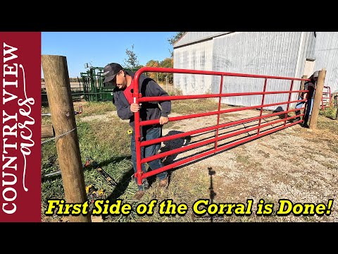 Видео: Проект «Загон» стартовал. Давайте сначала займёмся лёгкой частью.