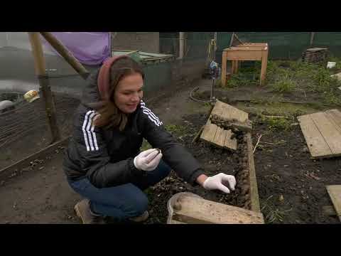 Видео: Екскурсія на равликову ферму, Хмельницька область, «ЕпіРавлик»