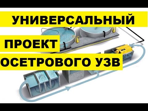Видео: УНИВЕРСАЛЬНЫЙ ПРОЕКТ ОСЕТРОВОГО УЗВ