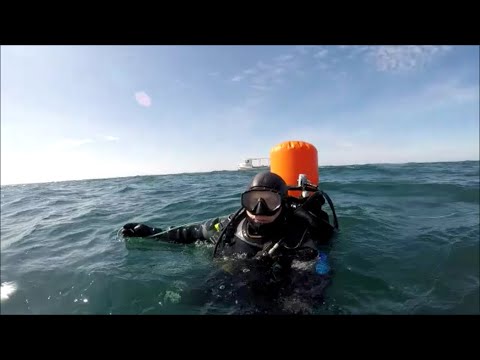 Видео: ДАЙВИНГ!КАК ПОГИБАЕТ ЧЕРНОЕ МОРЕ!