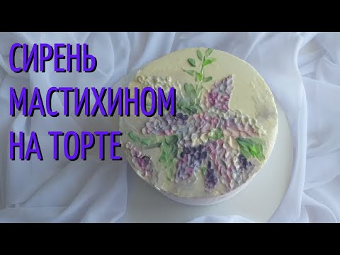 Видео: Сирень на торте ЛЕГКО. Рисуем вместе.