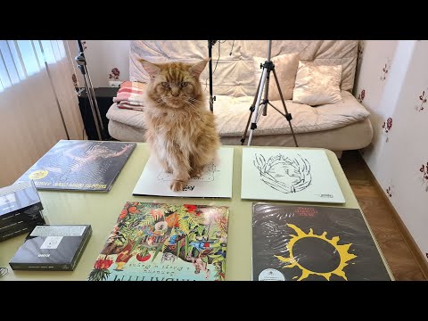 Видео: Зоя Кравчук об Аквариуме, Цое, Кинчеве, Курёхине и Мифах.