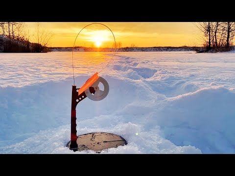 Видео: ЖЕРЛИЦЫ ГОРЯТ🔥Искал щуку, а меня нашел плоский лЯщ😁