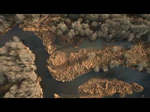 Видео: Полет вокруг Красногородска. Привычные места непривычным взглядом.