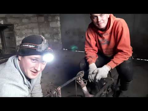 Видео: Кастрация свиней. Наше приспособление для кастрации в работе. Свиноводство, скот и птица.