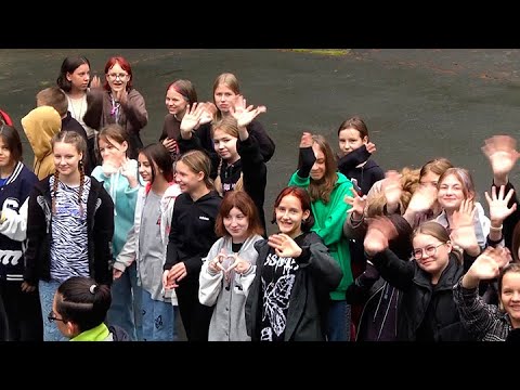 Видео: Сказка в лесу