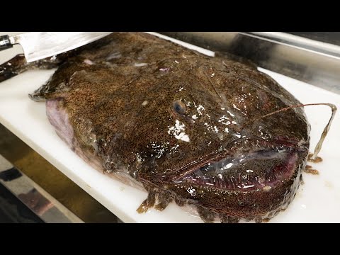 Видео: Тысяча Паразитов; Давайте поедим японский деликатес!