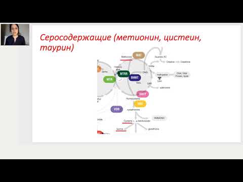 Видео: Метионин, цистеин и таурин