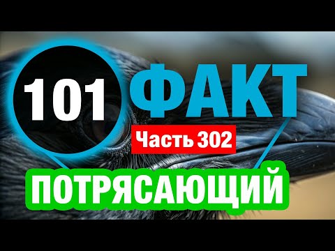 Видео: 101 Интересный Факт