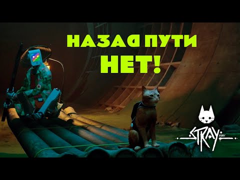 Видео: ДОБРО ПОЖАЛОВАТЬ В КАНАЛИЗАЦИЮ - Stray #5