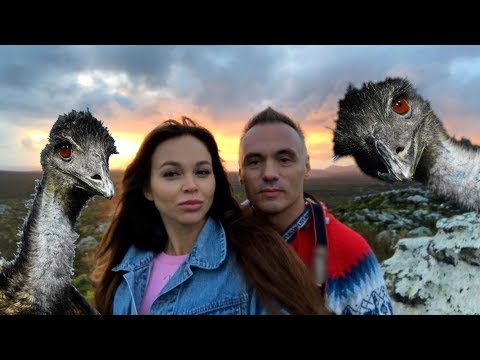 Видео: Мыс Доброй Надежды. Можно ли есть страуса? По АФРИКЕ на машине! Часть 1